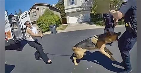 dog biting police officer.